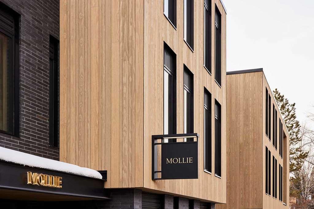 فندق Mollie أسبن المظهر الخارجي الصورة